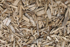 biomass boilers Gospel Oak